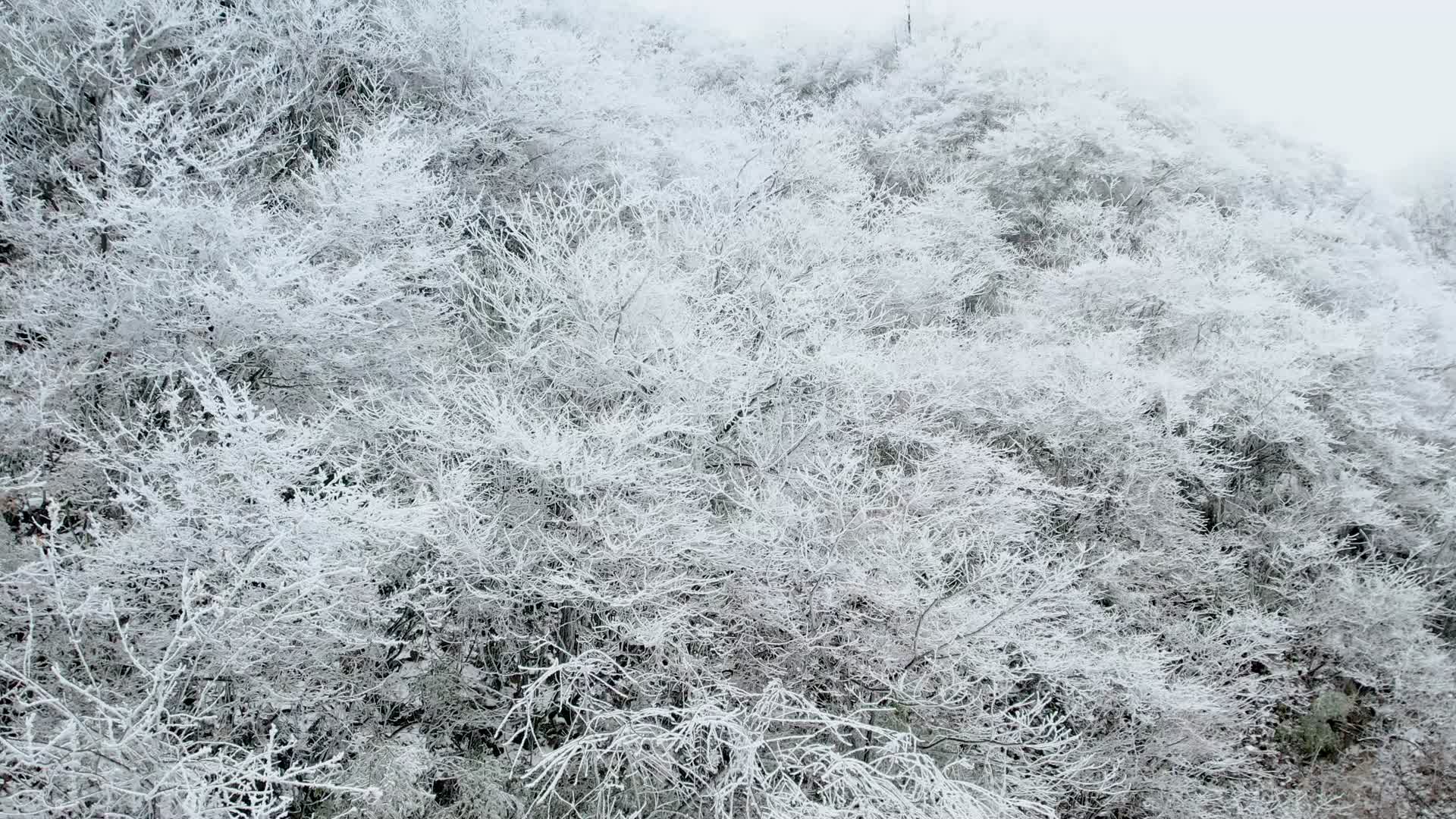 4K航拍桂林资源雾凇视频的预览图
