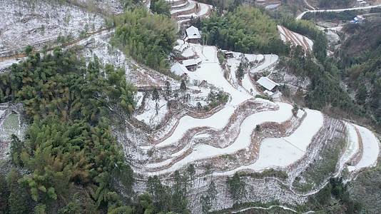 4K航拍桂林冰雪中的竹子视频的预览图