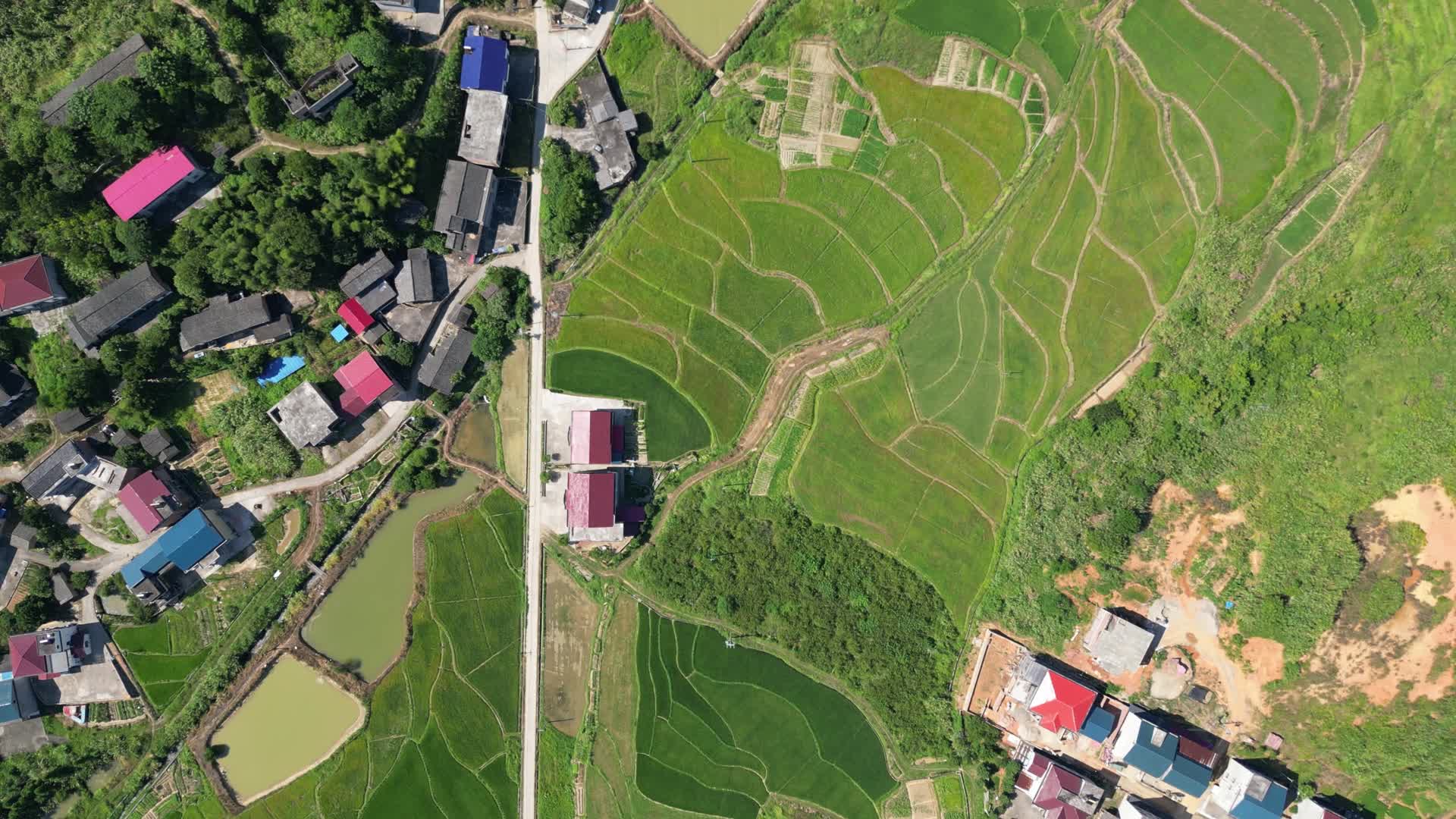 航拍美丽乡村农业农田民居视频的预览图