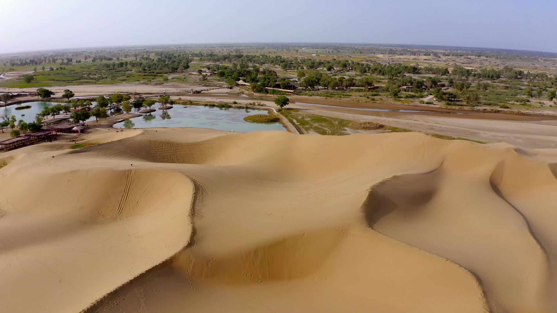 金色的塔克拉玛干沙漠视频的预览图