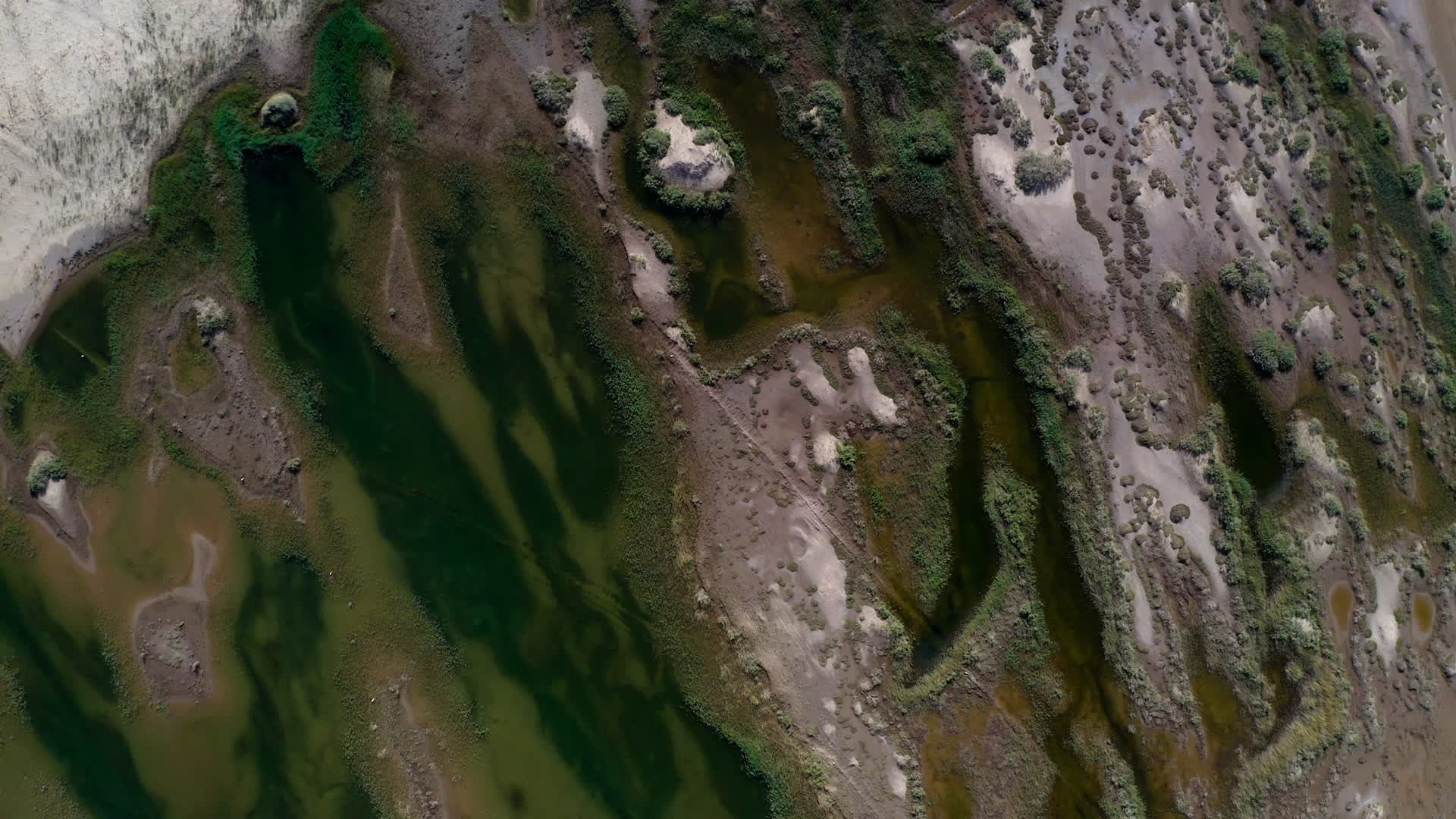 台特玛湖湿地视频的预览图