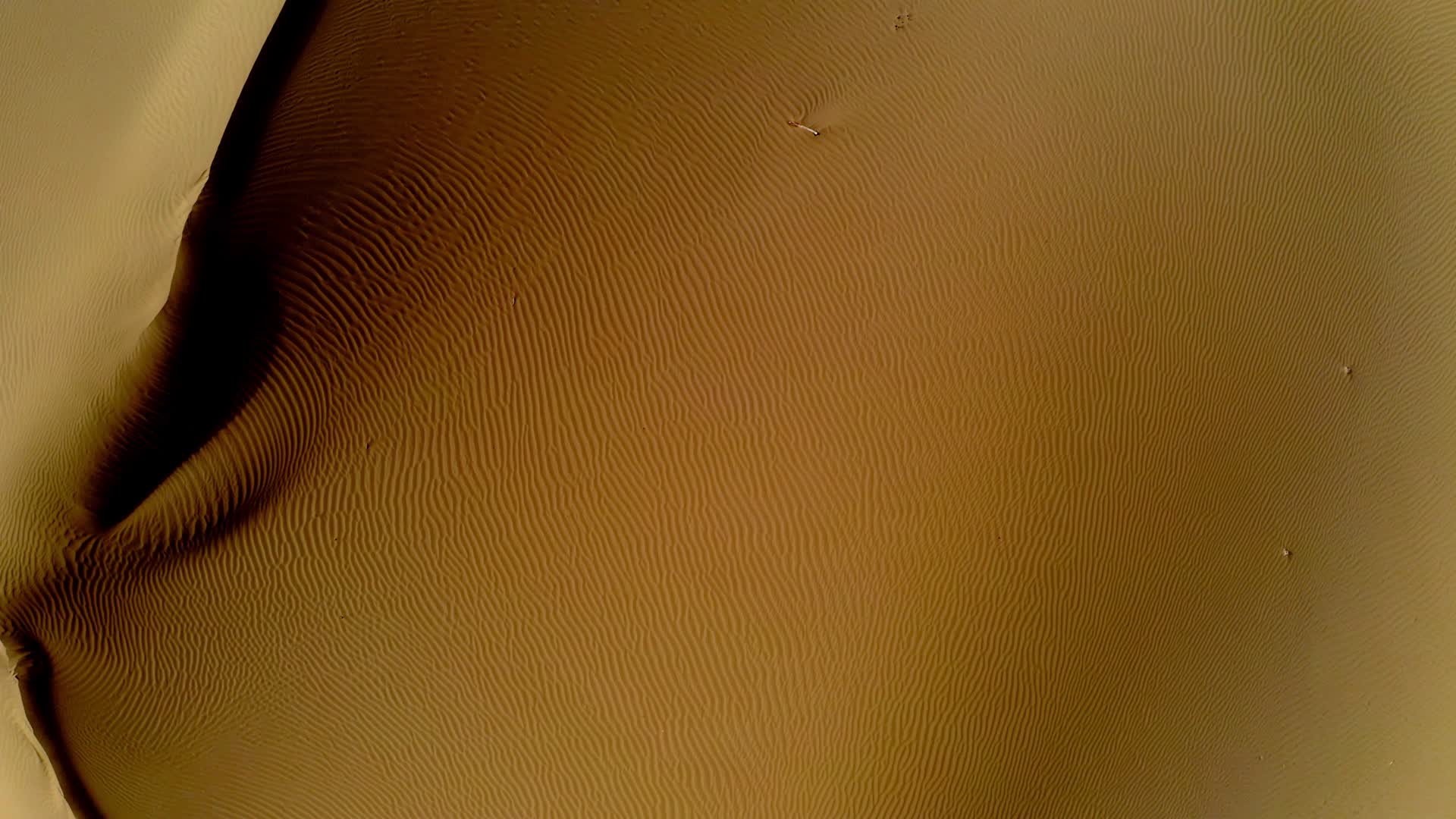 金色的塔克拉玛干沙漠视频的预览图