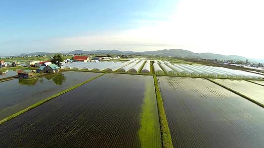 航拍水稻农场大棚高尔夫草坪视频的预览图