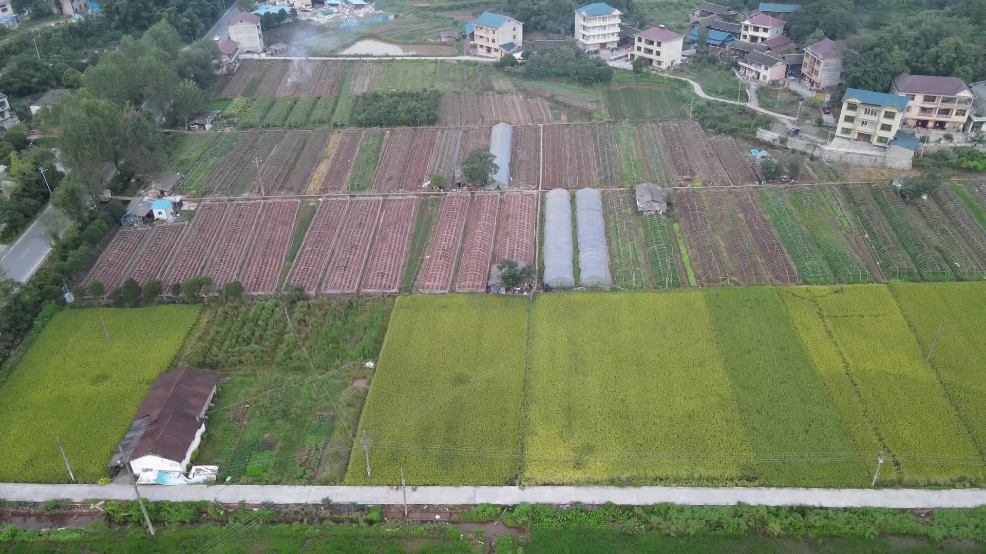航拍农业种植基地视频的预览图