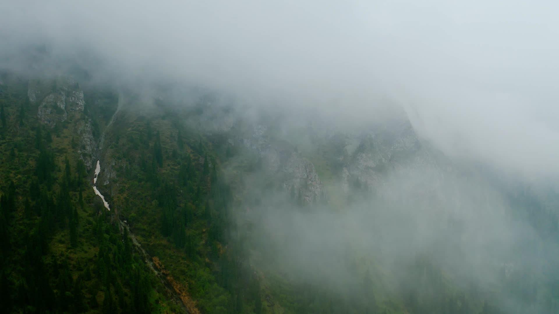 雾气蒸腾的高山森林视频的预览图