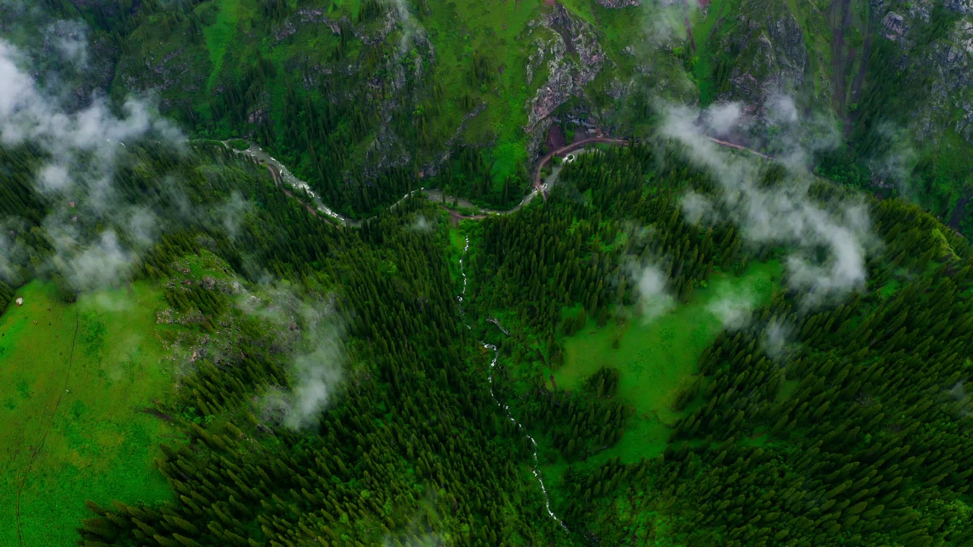 云层下的高山森林视频的预览图