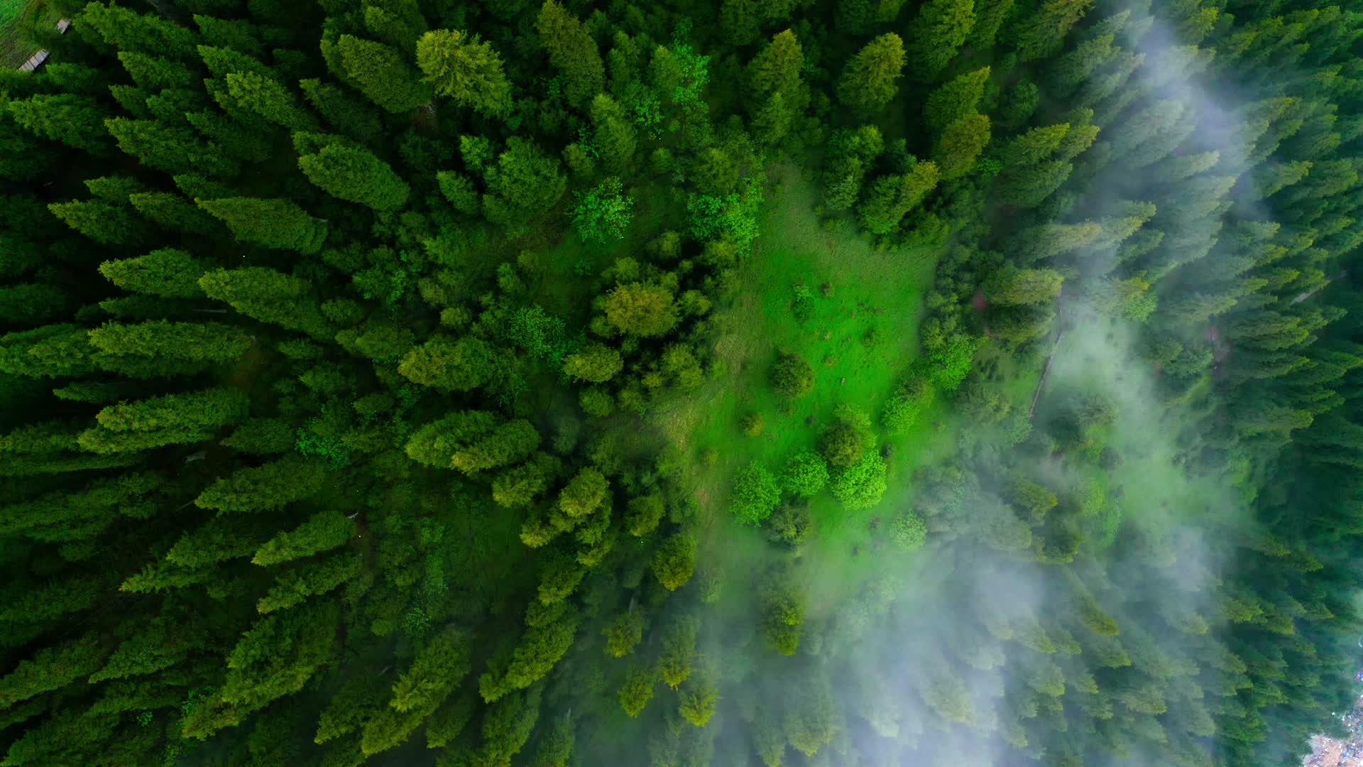 云层下的高山森林视频的预览图