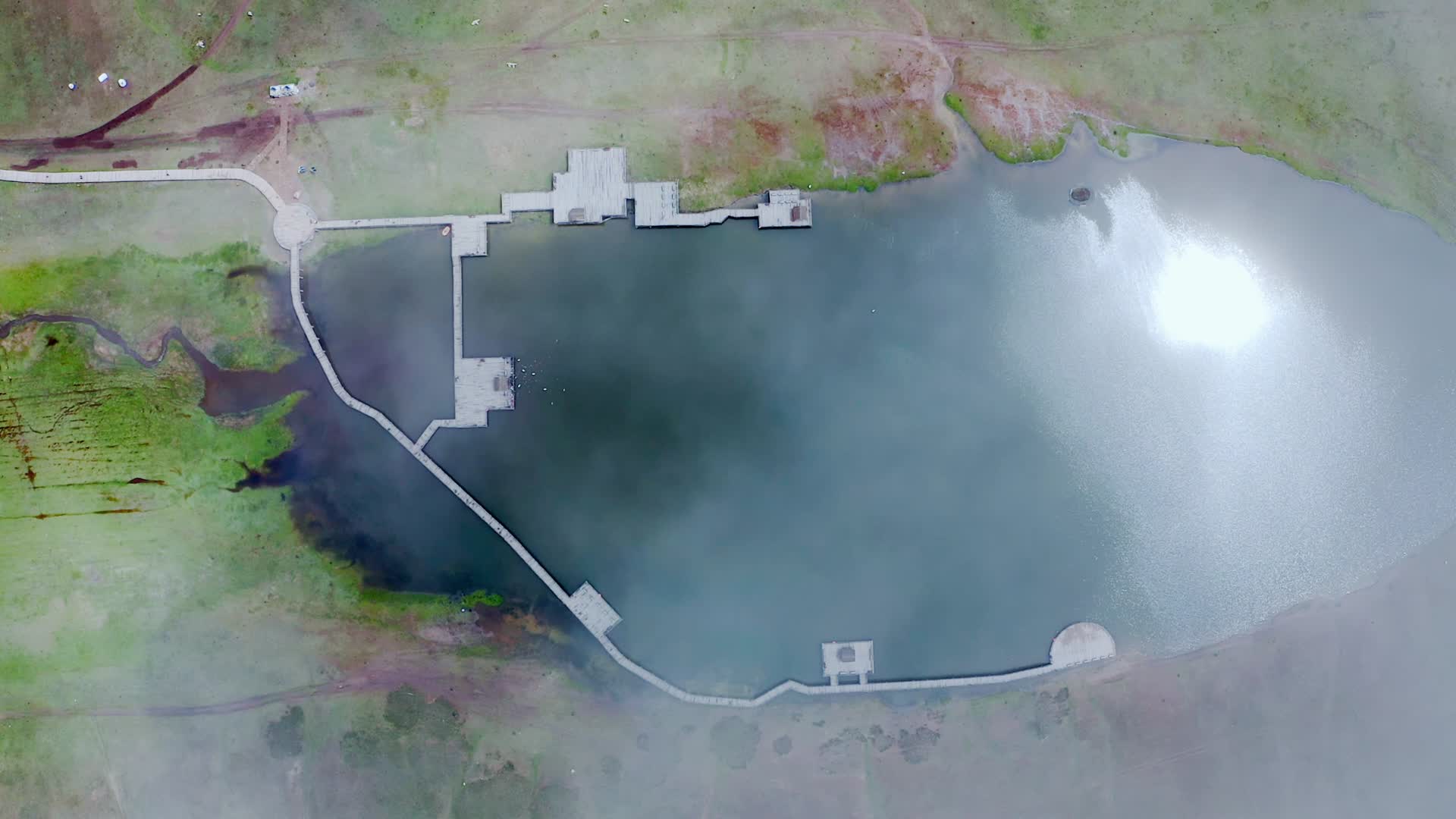 新疆巴音布鲁克天鹅湖视频的预览图