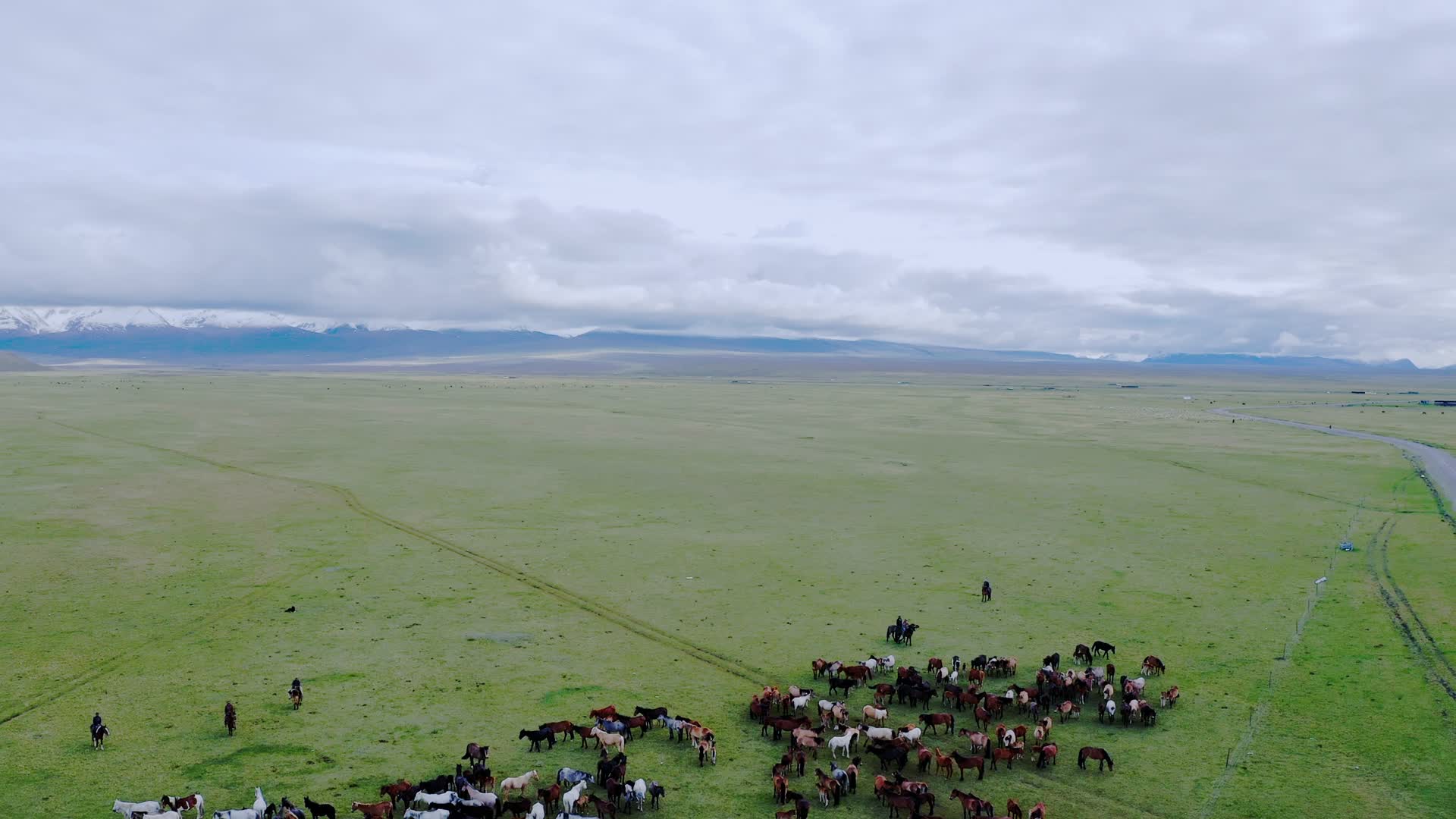 新疆草原的马场视频的预览图