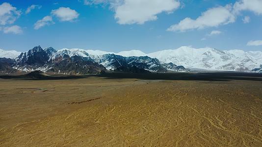 新疆若羌阿尔金山自然保护区视频的预览图