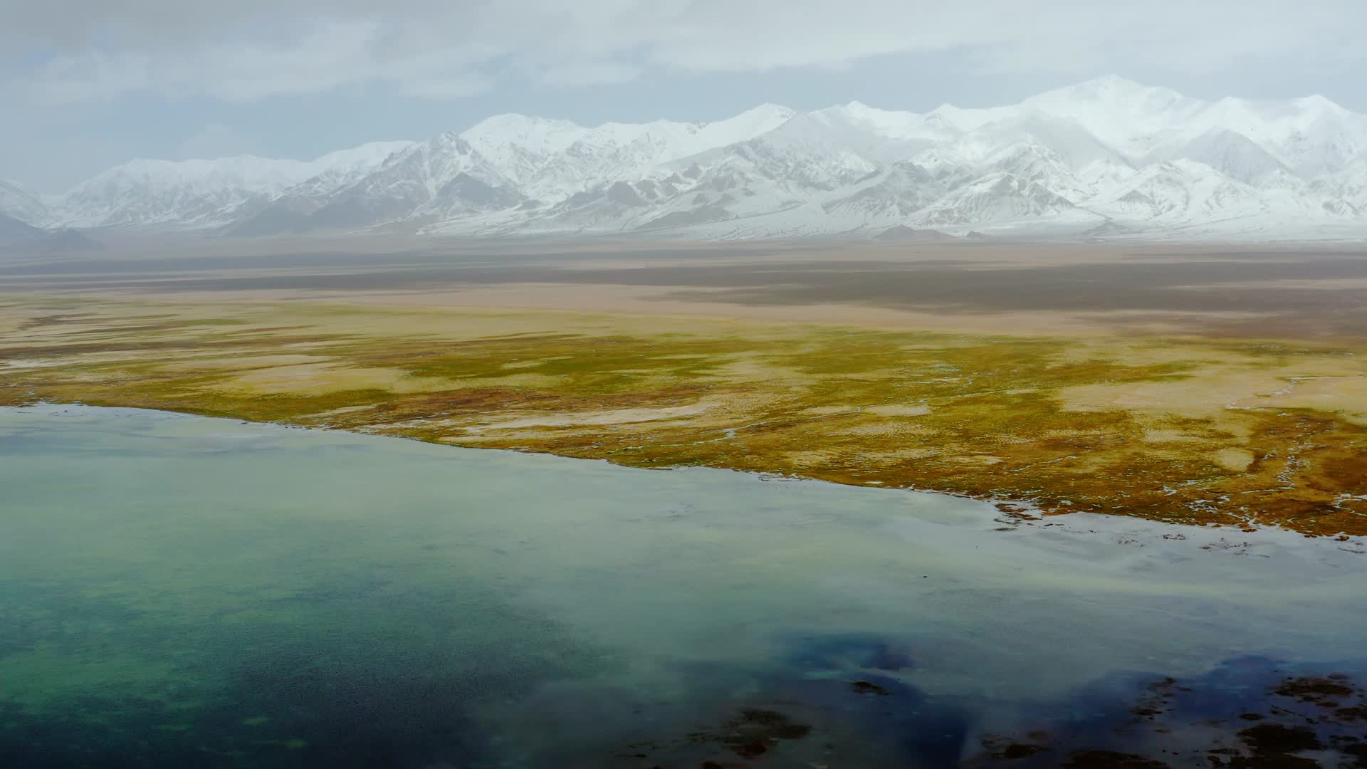 新疆若羌阿尔金山自然保护区视频的预览图
