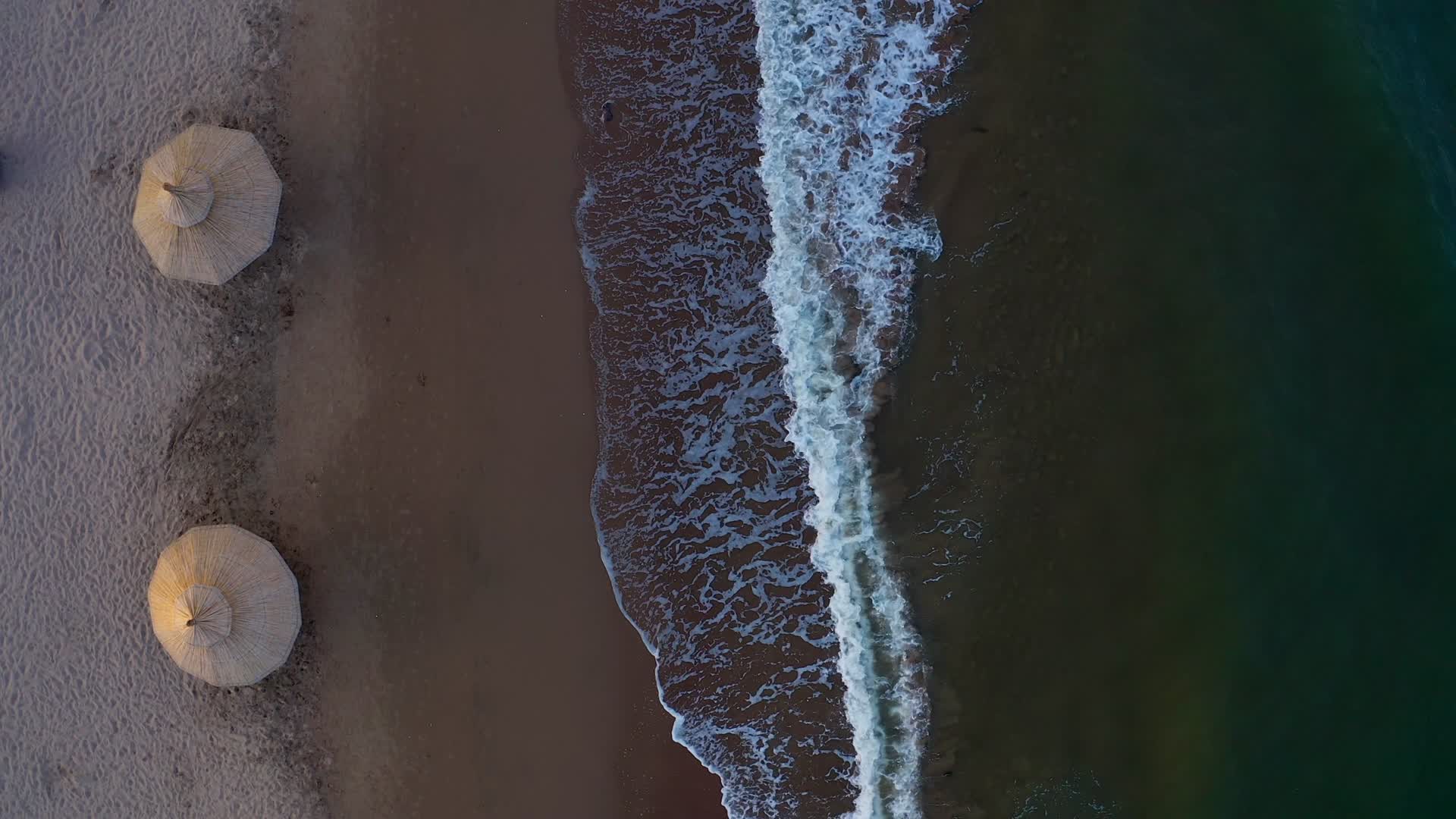 沙滩上的一排遮阳伞视频的预览图