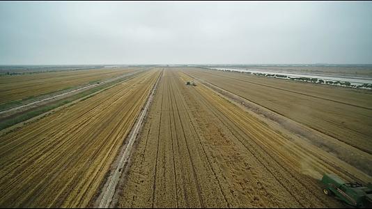 粮食小麦丰收农业农田机械视频视频的预览图