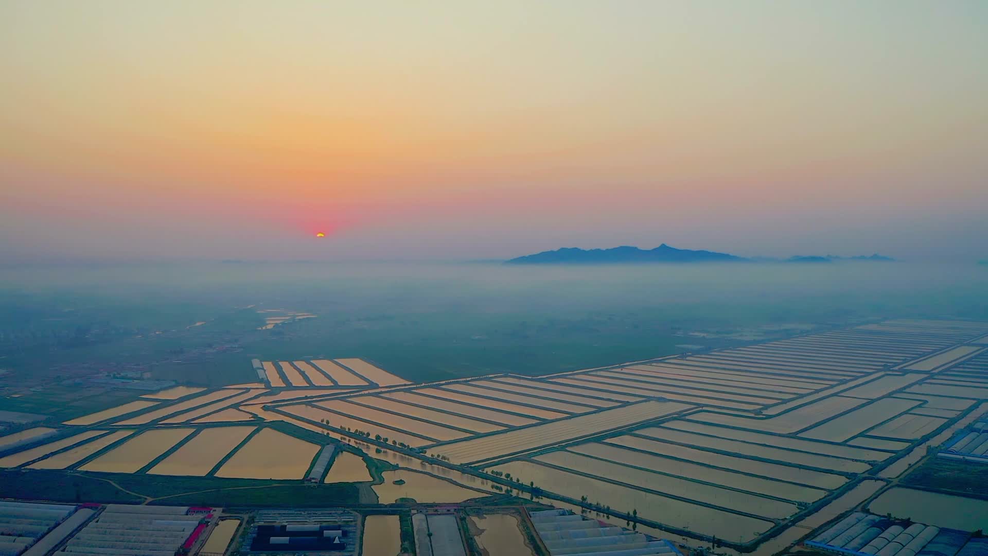 夕阳下的水塘农田视频的预览图