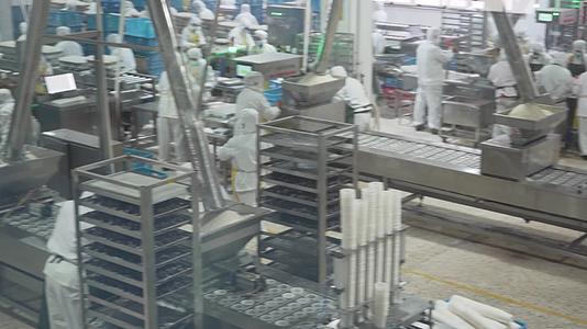 速冻粽子速冻食品生产线流水线工厂加工视频的预览图