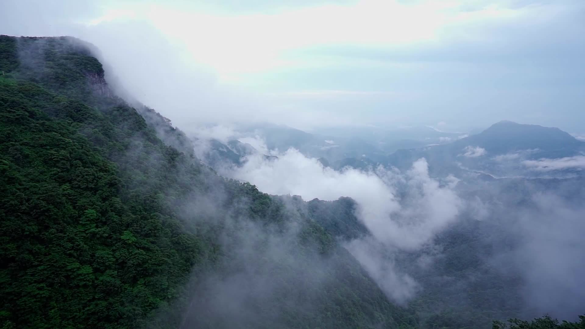 云雾缭绕的金佛山视频的预览图