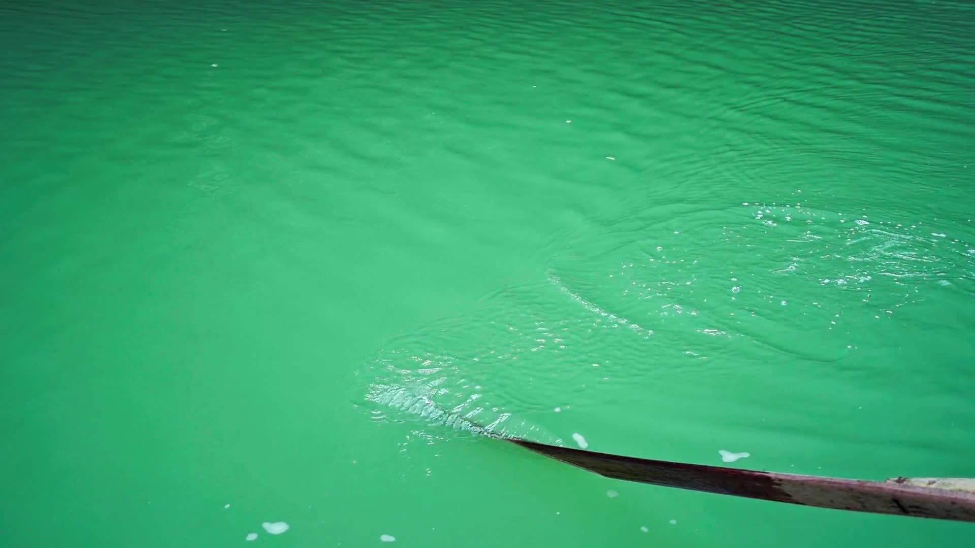 摇动的船桨视频的预览图