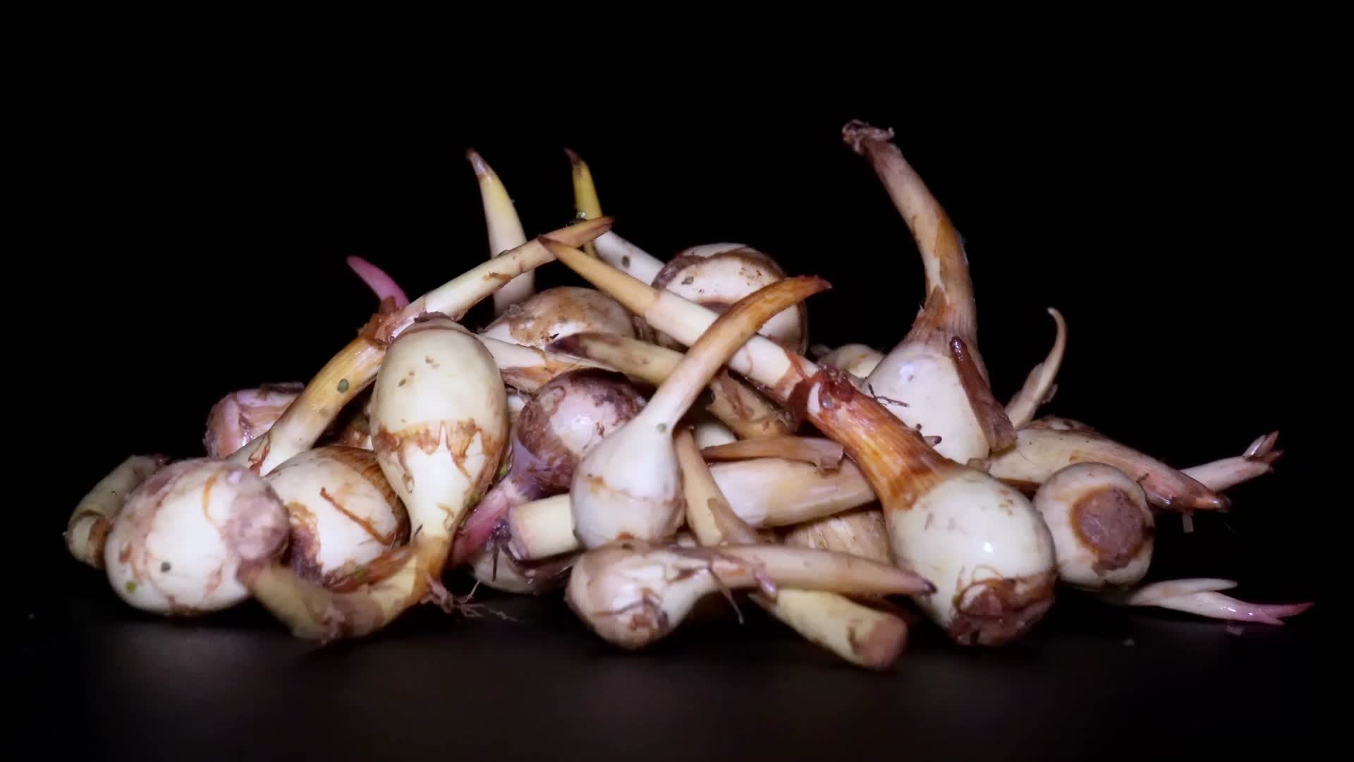 茨菇茹白马蹄白茨菰食材蔬菜美食视频的预览图