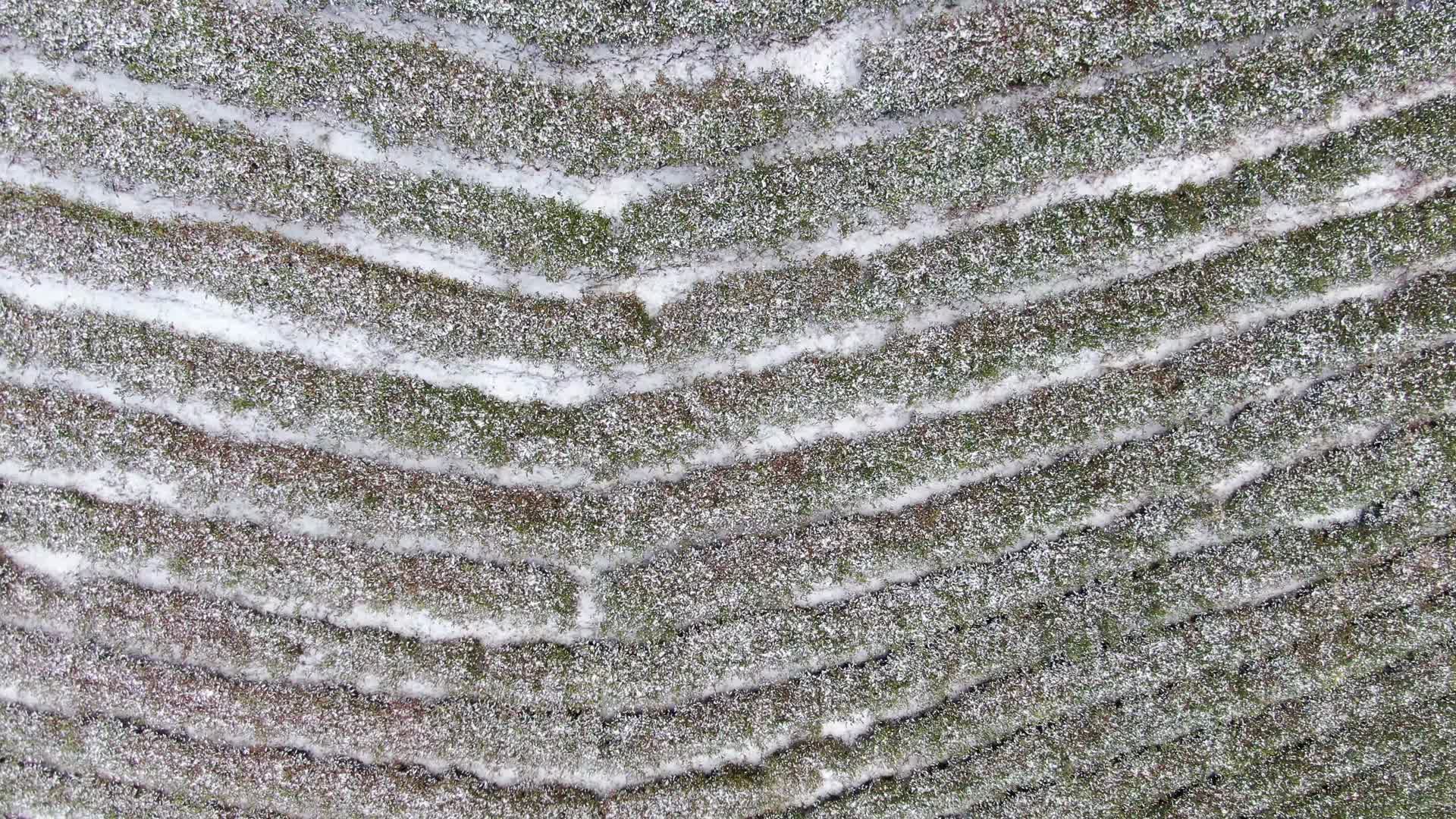 航拍冬天茶园雪景视频的预览图