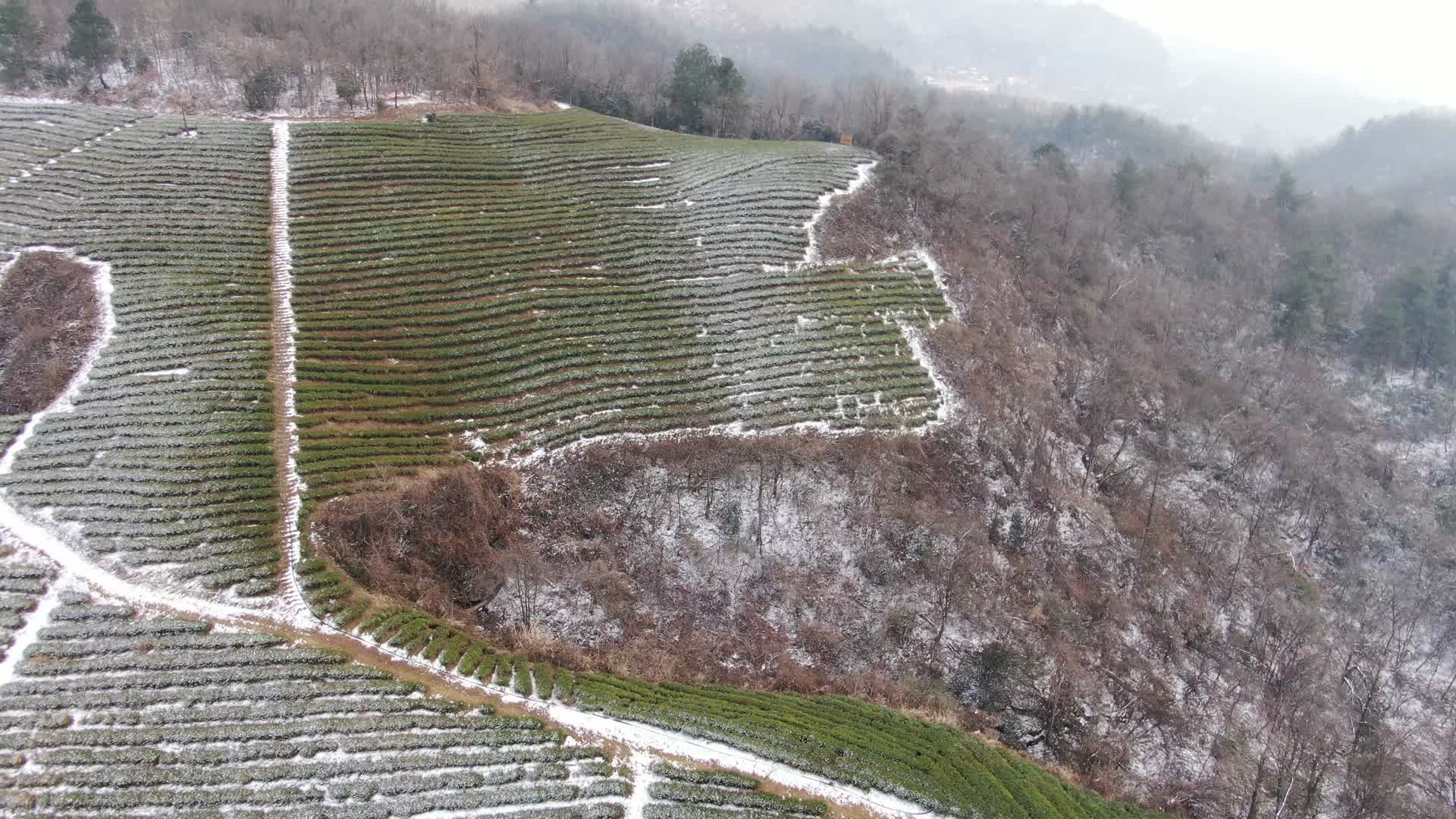 航拍冬天茶园雪景视频的预览图