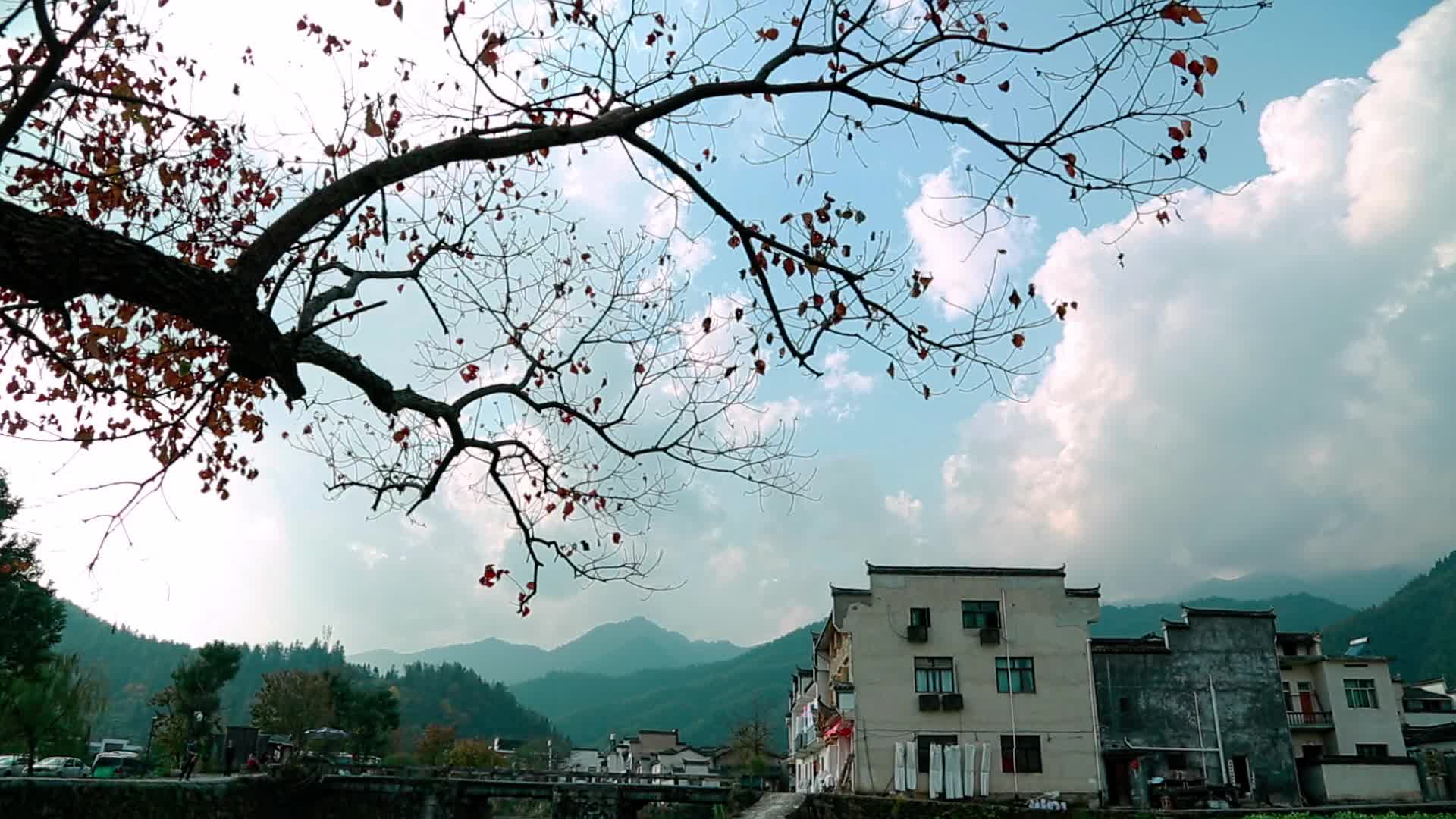 徽州的传统古村视频的预览图