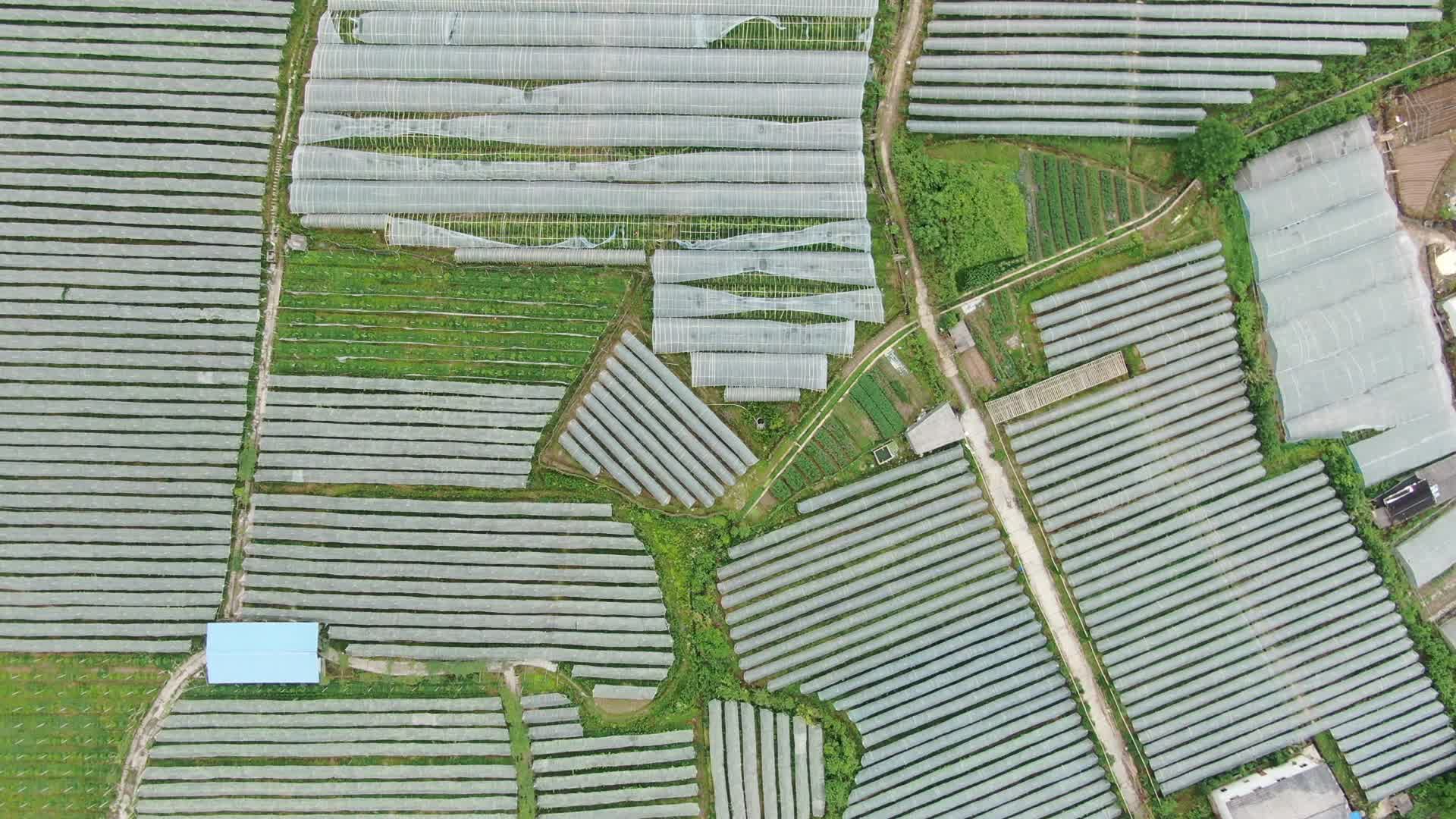 航拍农业种植农田视频的预览图