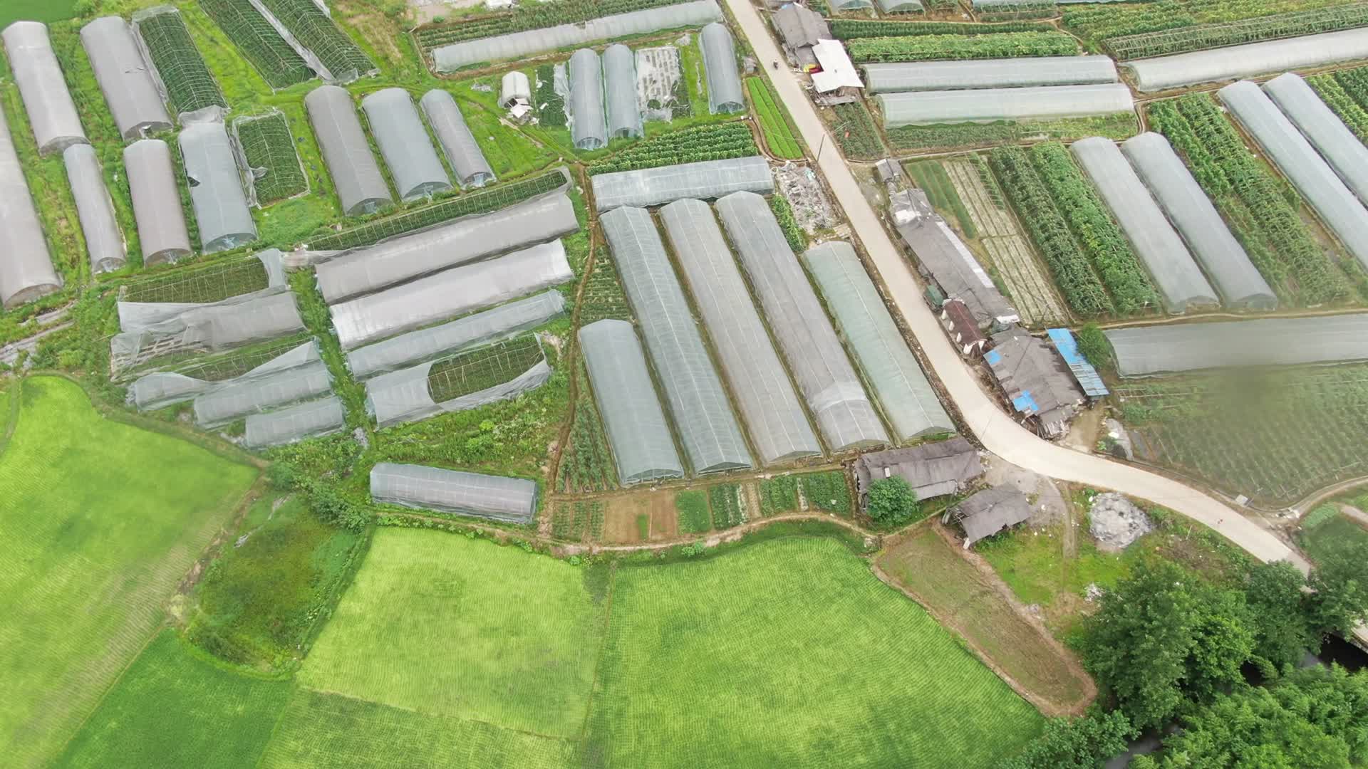 航拍农业大棚蔬菜种植视频的预览图