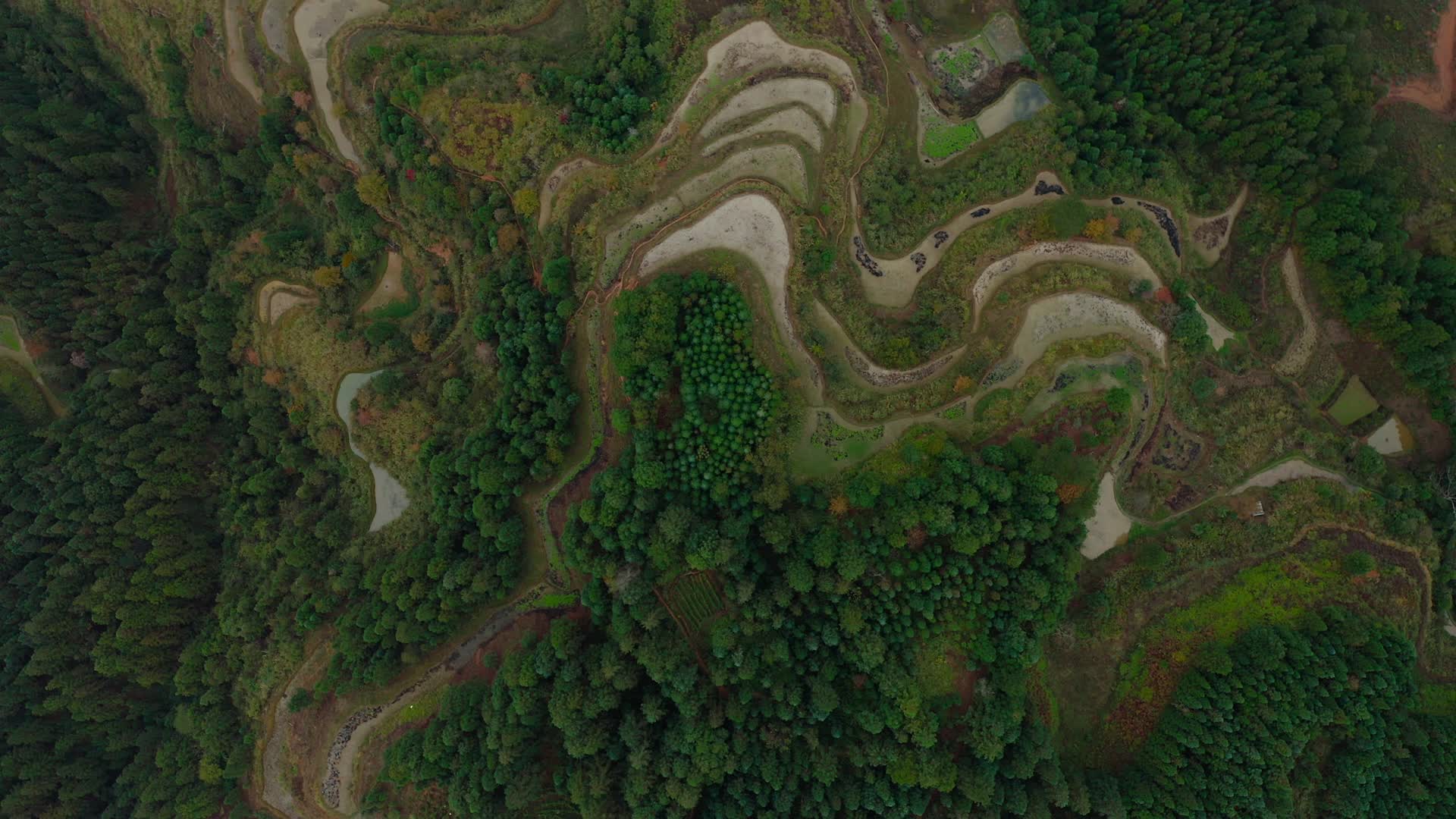 贵州山区的梯田视频的预览图