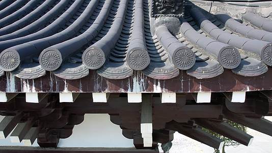 觉林寺唐代风格古建筑视频的预览图