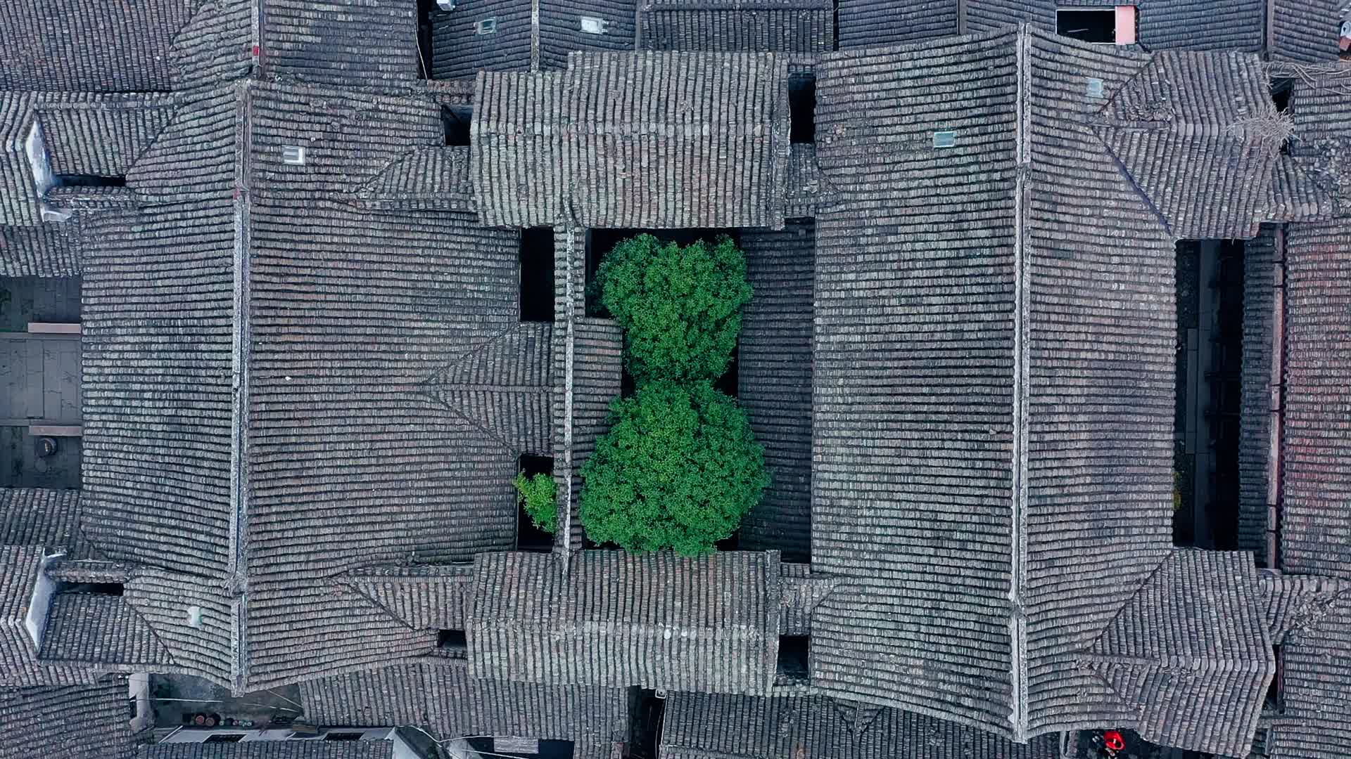 江南传统庭院视频的预览图