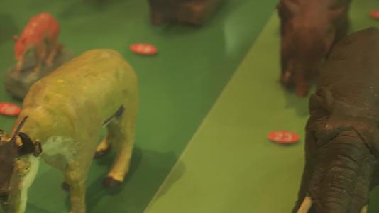 恐龙动物进化演变模型玩具视频的预览图