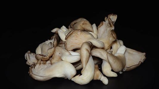迷你蘑菇秀珍菇蘑菇食用菌视频的预览图