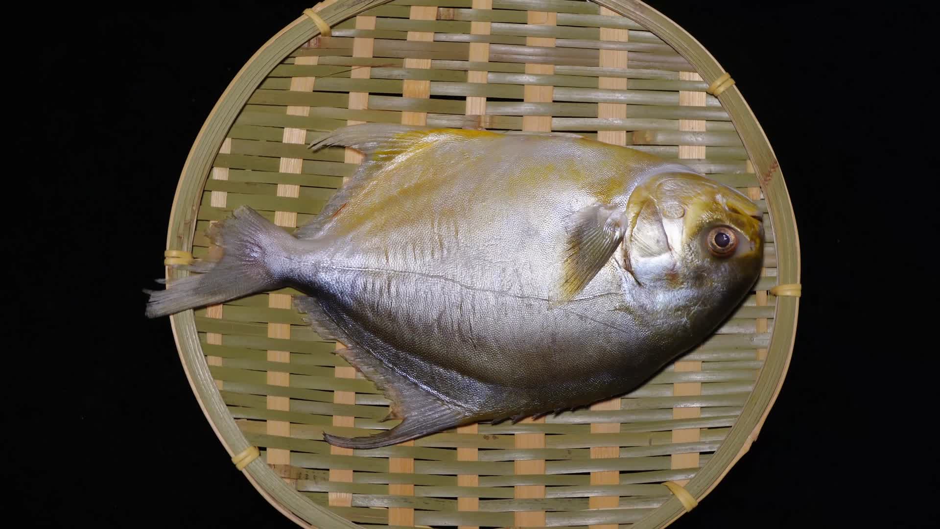 平鱼金鲳鱼金昌鱼海鲜鱼类视频的预览图