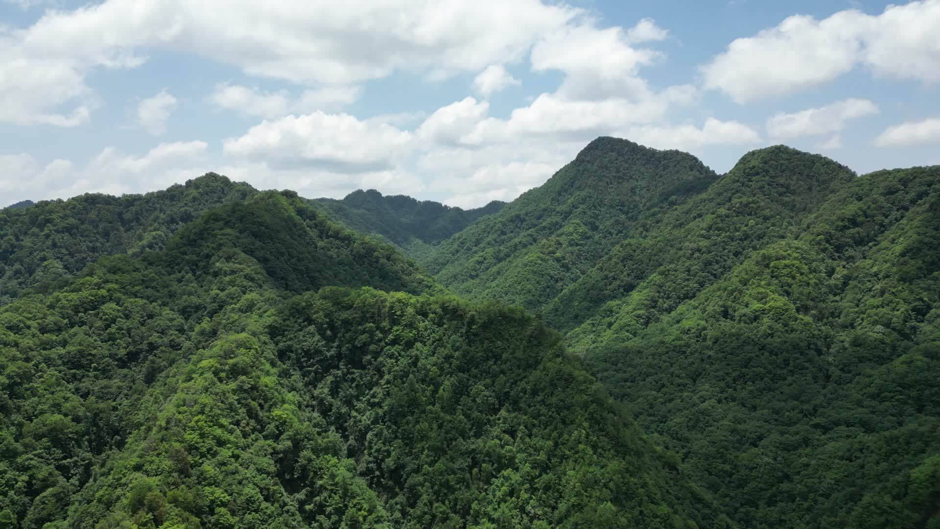 航拍自然风光连绵大山森林视频的预览图
