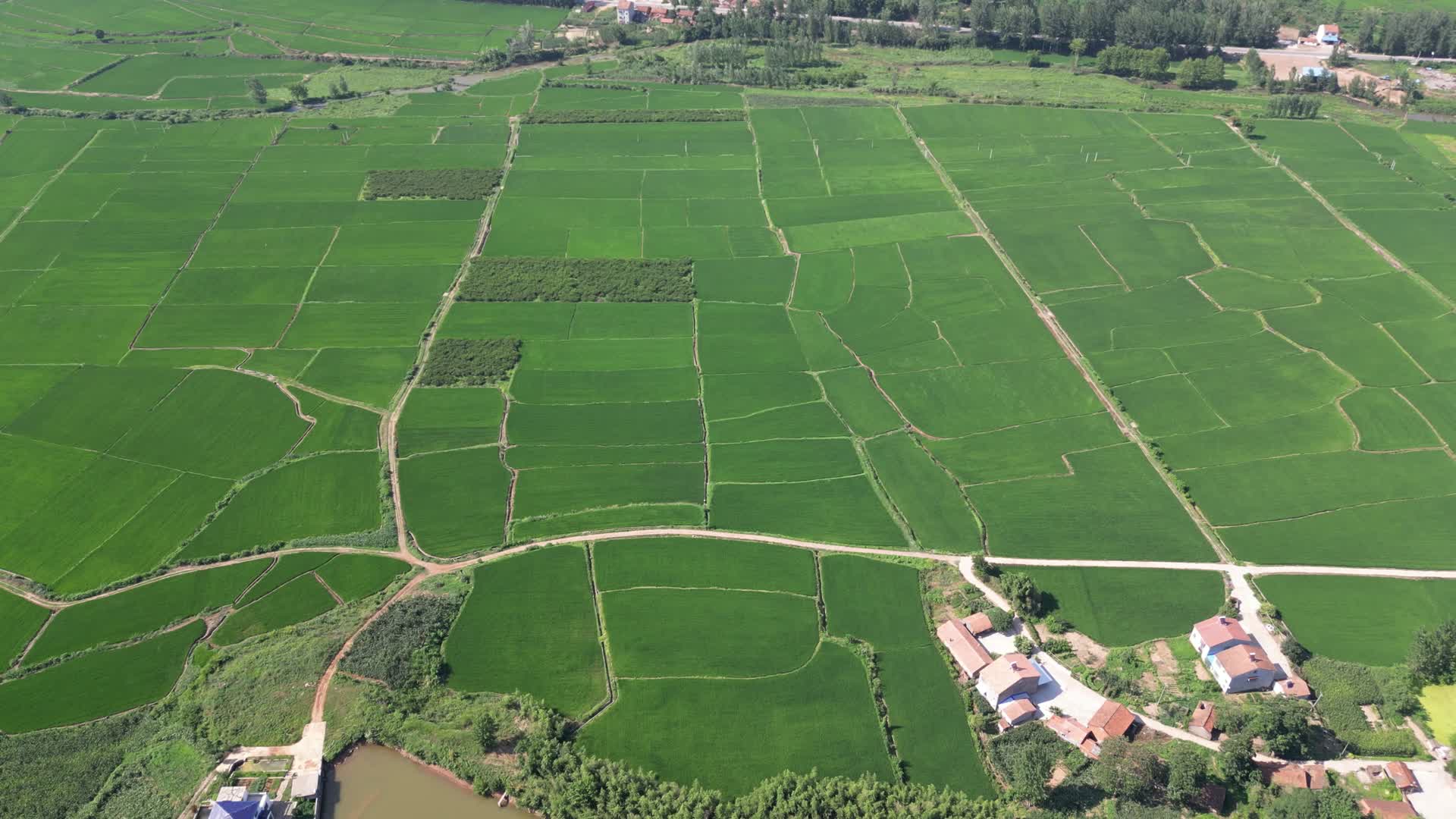 航拍农业种植基地农作物视频的预览图
