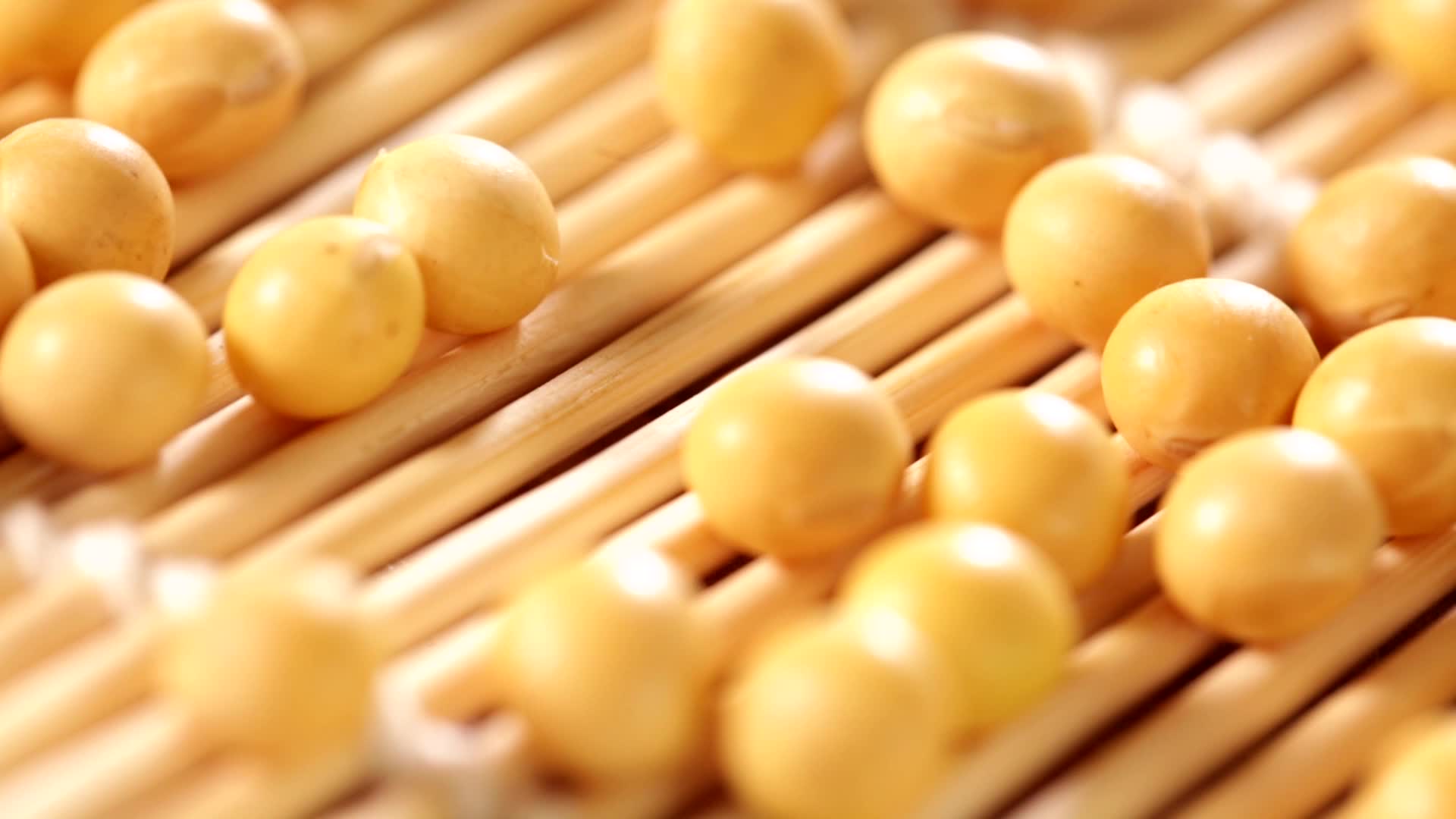 清水泡发的黄豆大豆豆子视频的预览图