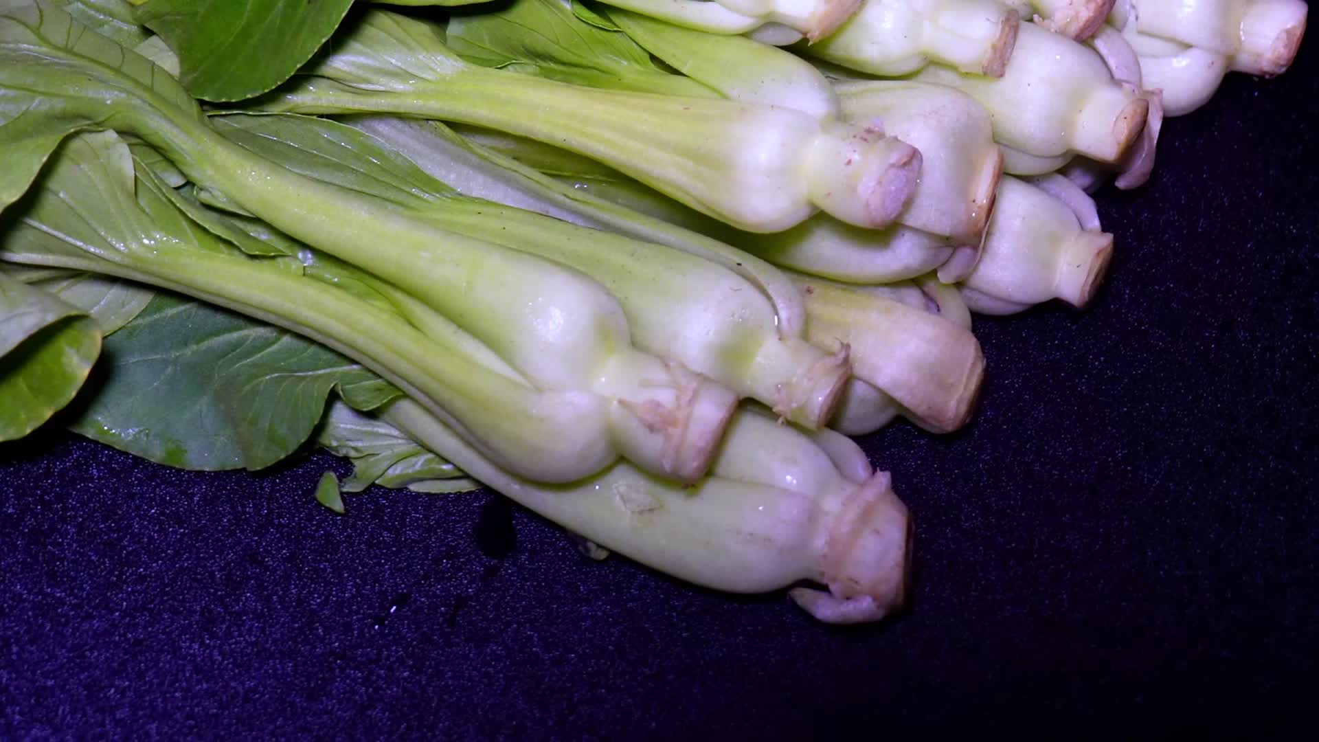 菜心菜苗蔬菜绿叶菜视频的预览图
