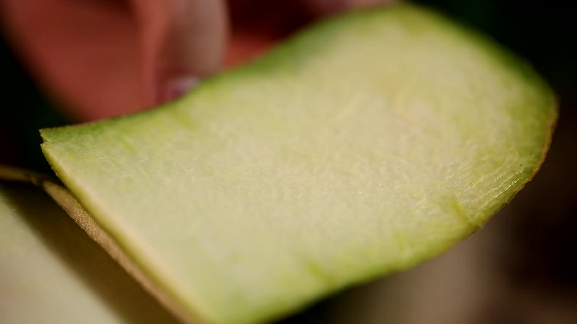 储存切开的西瓜的方法视频的预览图