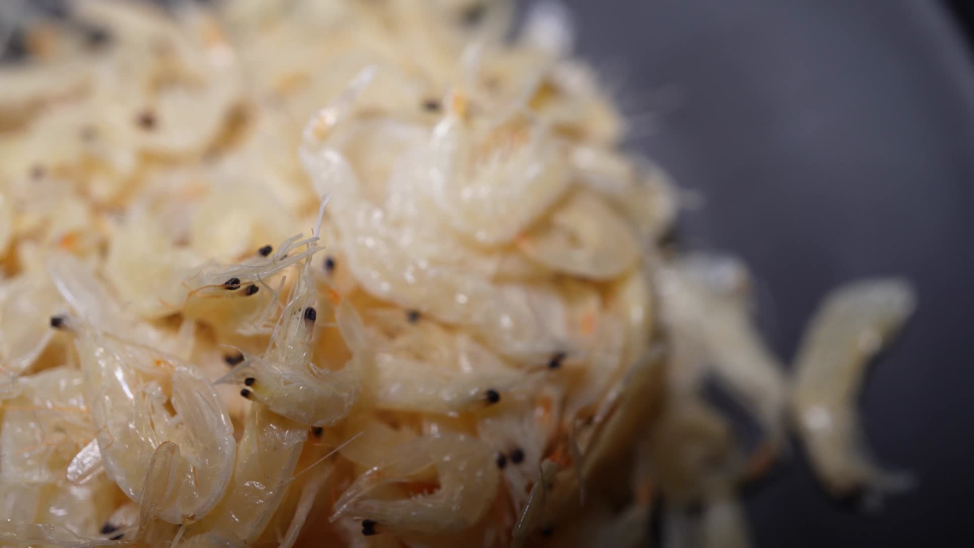 淡干虾皮虾米补钙海鲜海货提鲜视频的预览图