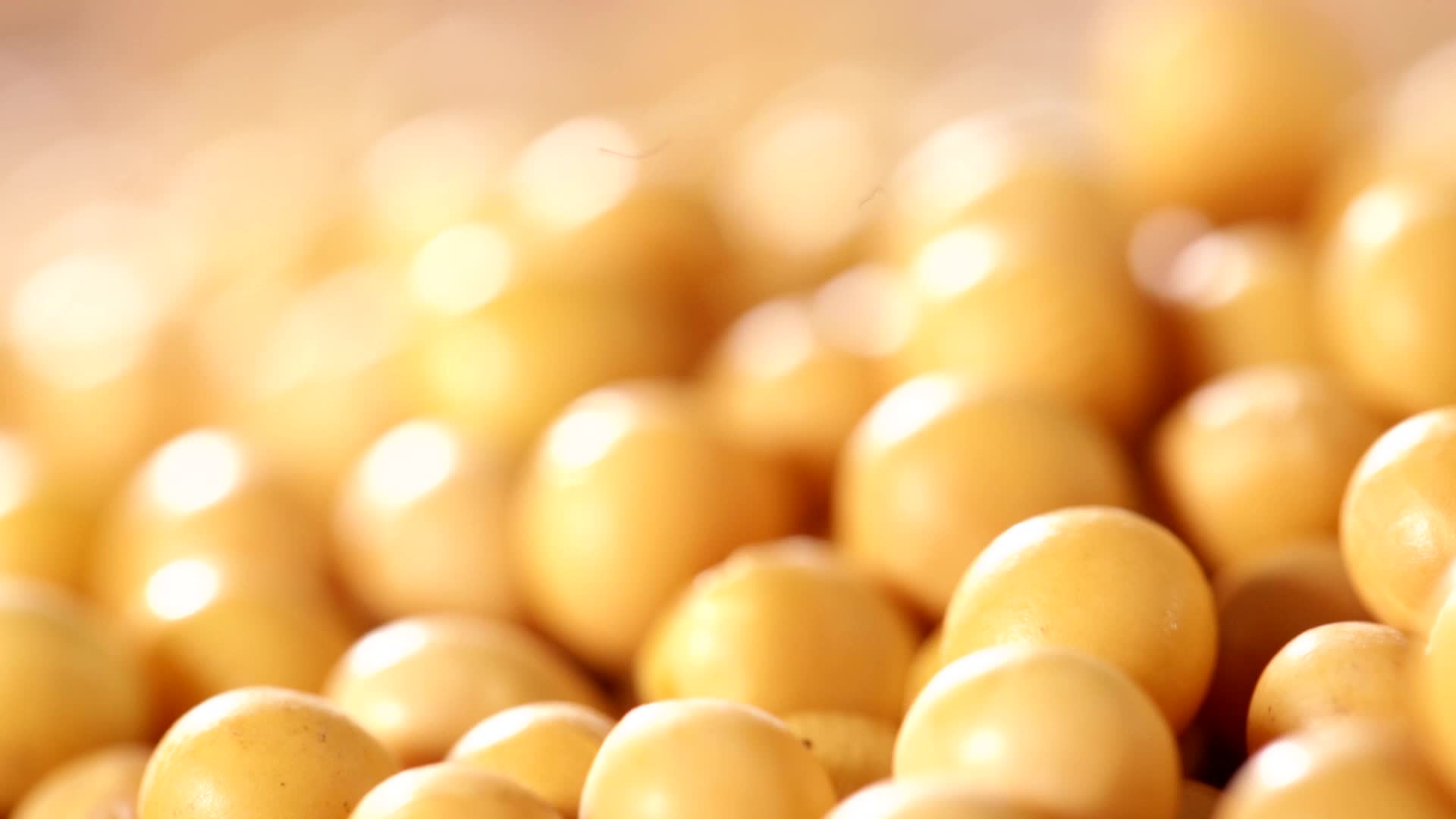 大豆黄豆粗粮食材视频的预览图