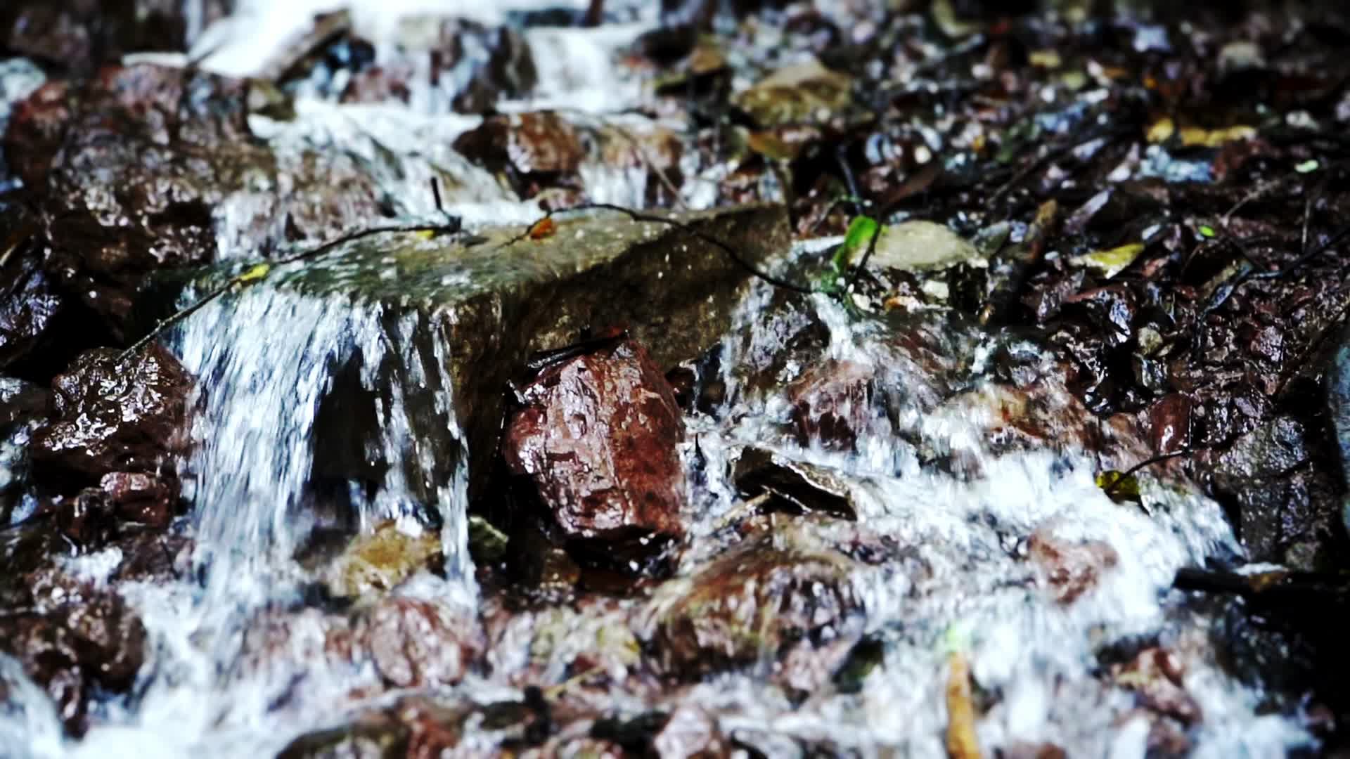 溪流溪水自然资源酒视频的预览图
