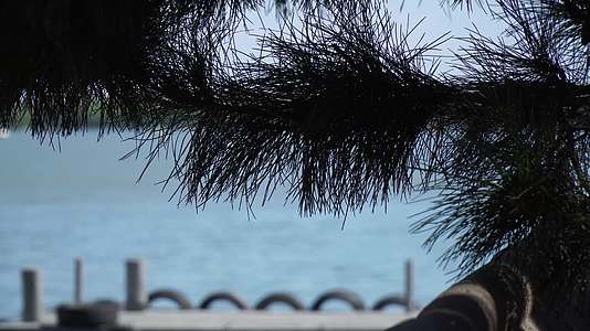 昆明湖湖水景区游船划船颐和园视频的预览图