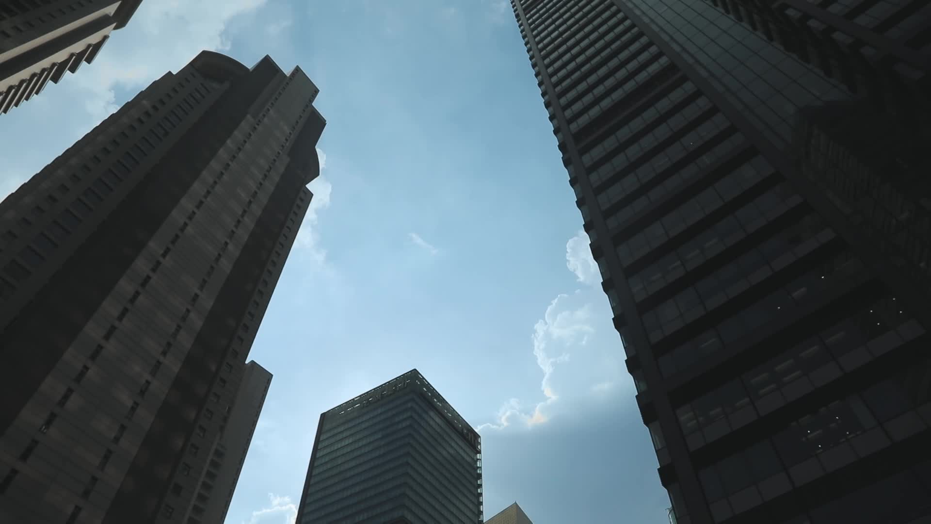 M1上海黄浦江边耸立的高楼视频的预览图