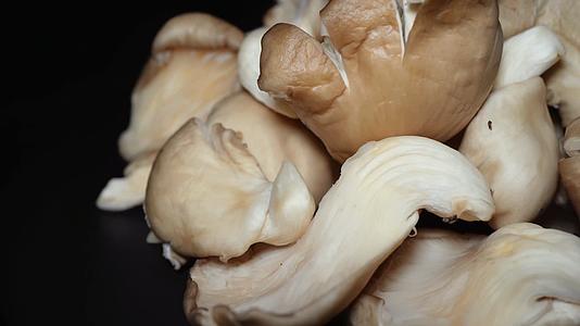 迷你蘑菇秀珍菇蘑菇食用菌视频的预览图