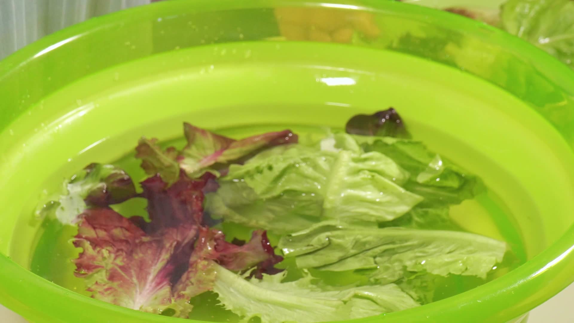 罗马生菜水盆清洗绿叶菜蔬菜沙拉生菜视频的预览图