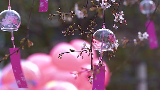春天樱花开放风铃风吹风铃人文自然视频的预览图