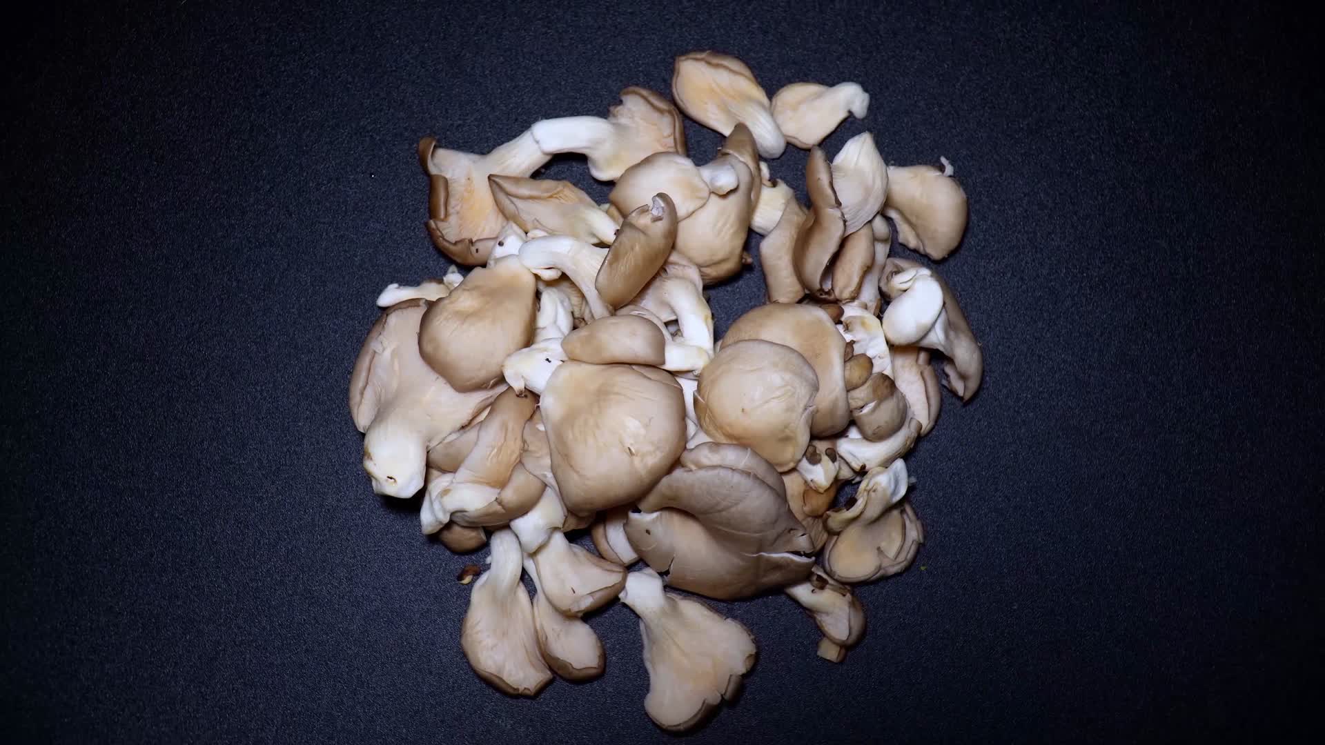 蘑菇平菇秀珍菇食用菌食材视频的预览图