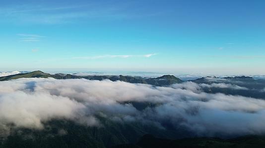 航拍高山云海湖北神农架景区视频的预览图