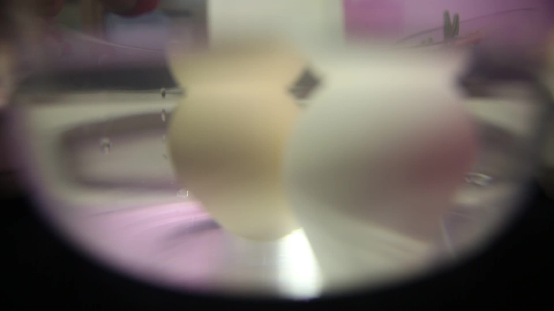 清洁鸡蛋表面视频的预览图