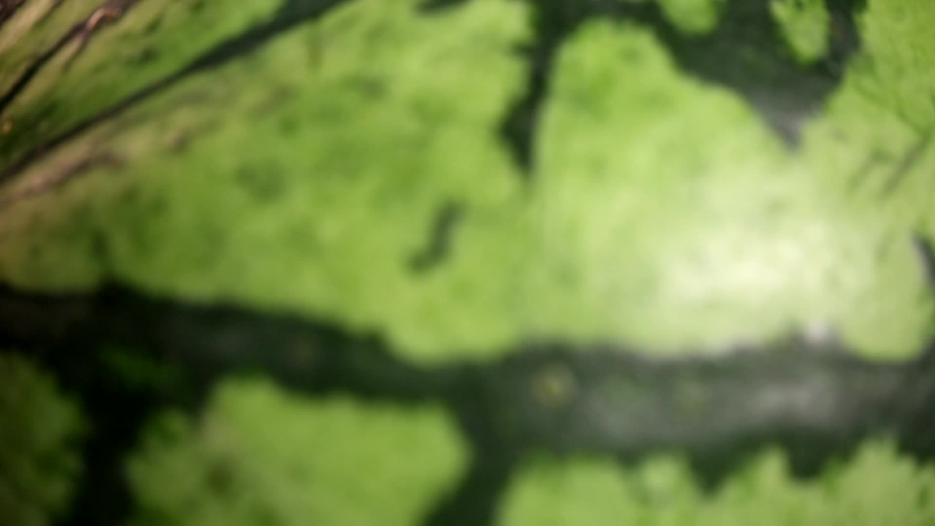 切开的西瓜挑选西瓜窍门视频的预览图